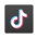 icons8-tiktok-100 (1)