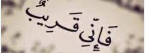 shimaa
